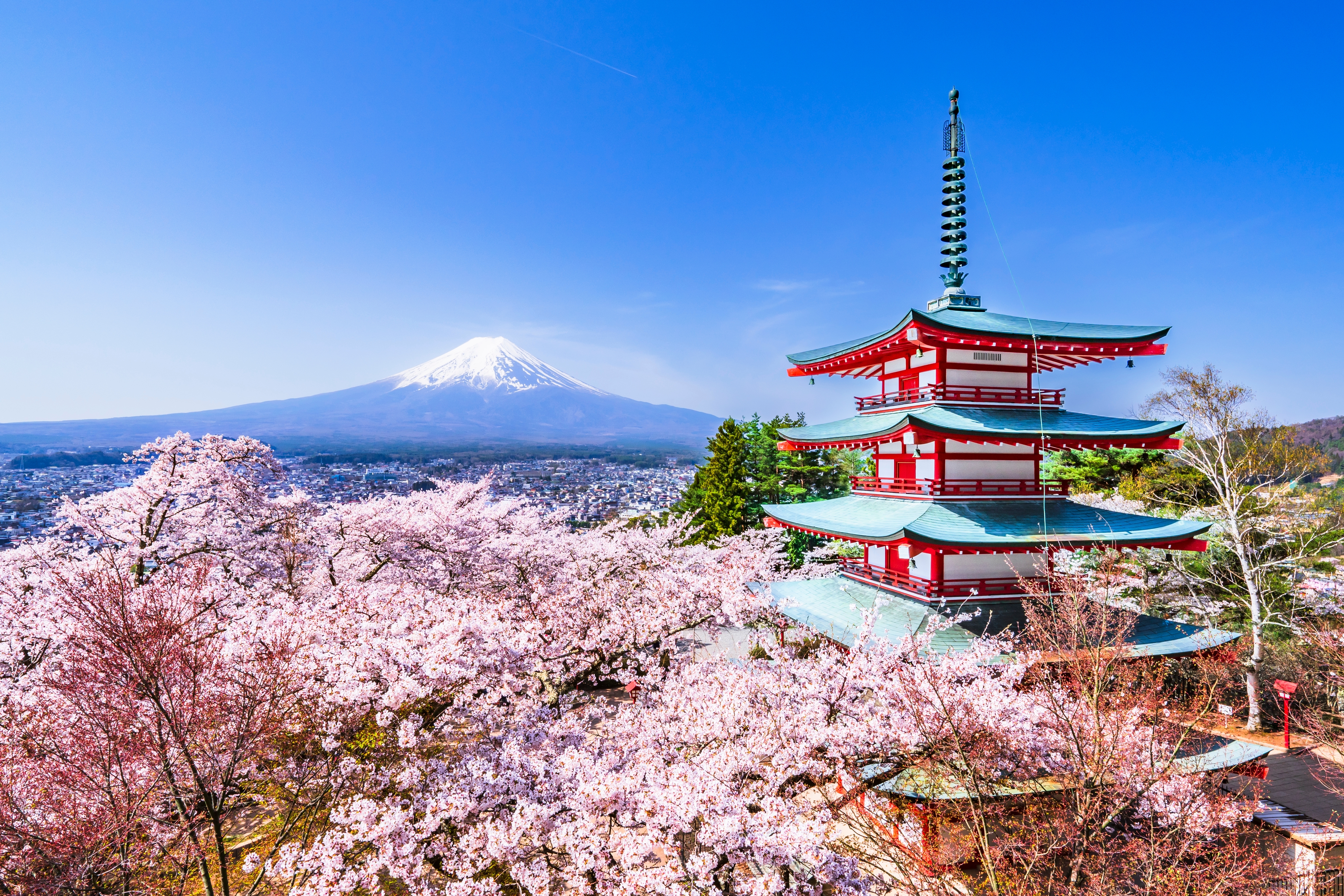 Japan Luxury Travel Masterclass