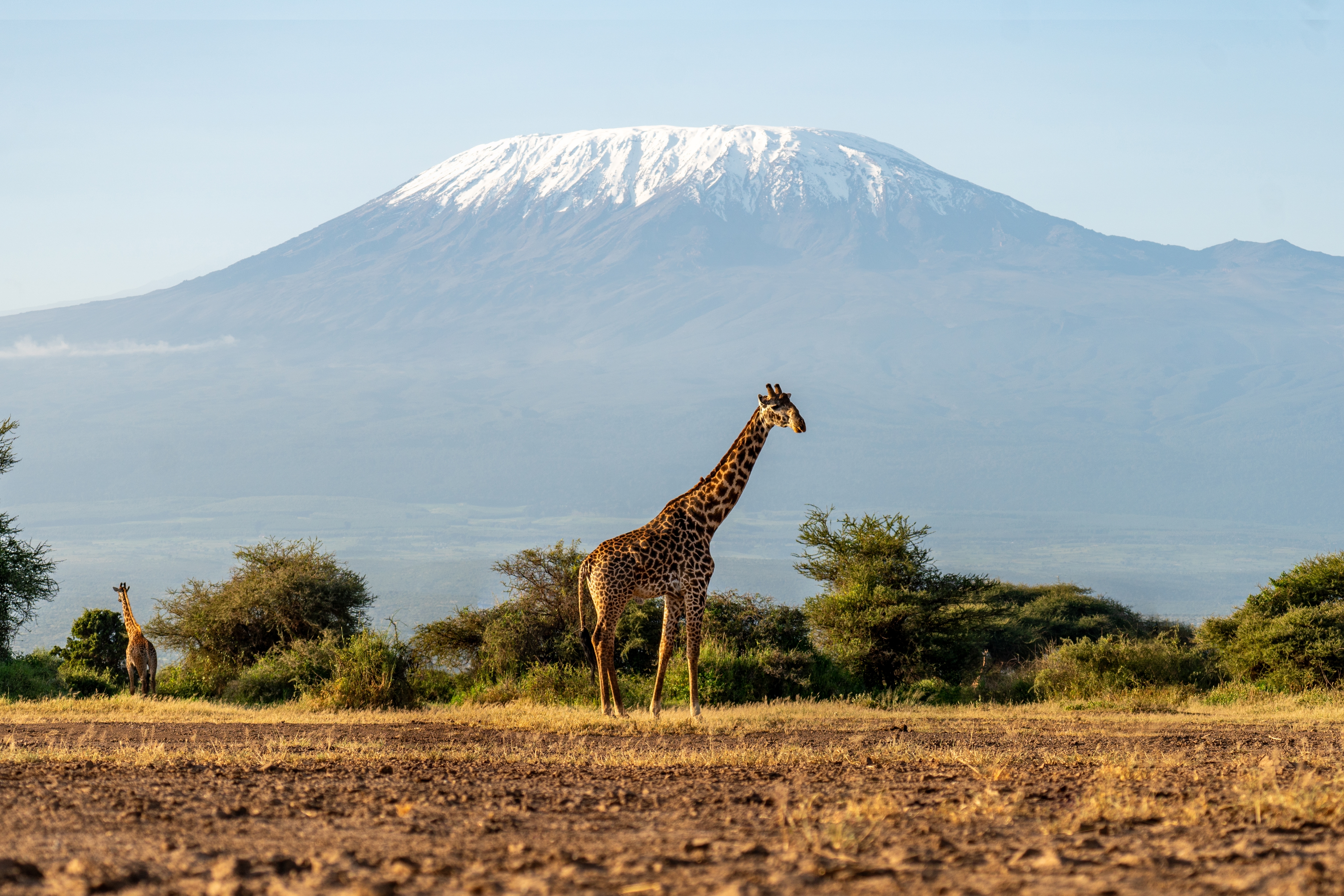 Tanzania Luxury Safari Masterclass